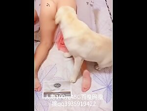 Video hentai bestialita gratuito
