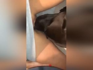 Deviant Delights: Teens & Dogs - The Animal Paroxysm