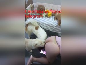 Passion for wild Asian canine
