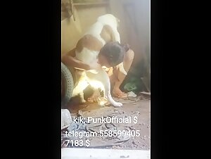 New zoophilic amateur videos 3