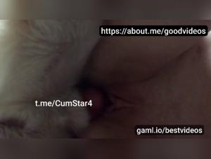 Insatiable Desire: Extreme Canine Creampies