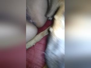 Doggy Delight: Wife Takes It, Husband Encourages