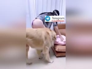 Obscure Delights: Asian Teen and Dog Intimacy
