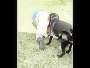 Forbidden love: Sex with a dog in the garden