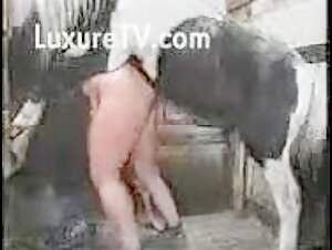 Best Equine Sex Ever