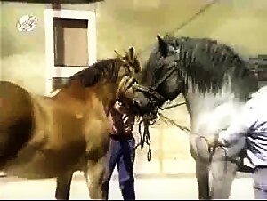 zoofiliaxxx hd