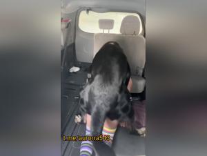 Delices Bestiaux: The ultimate enjoyment with a dog