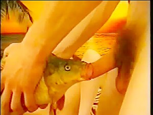 The forbidden encounter: a female fish and her canine lover