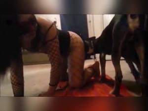 Animal Desire: The Forbidden Fuck of a Teenage
