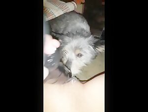 Dog and woman: a beastly encounter